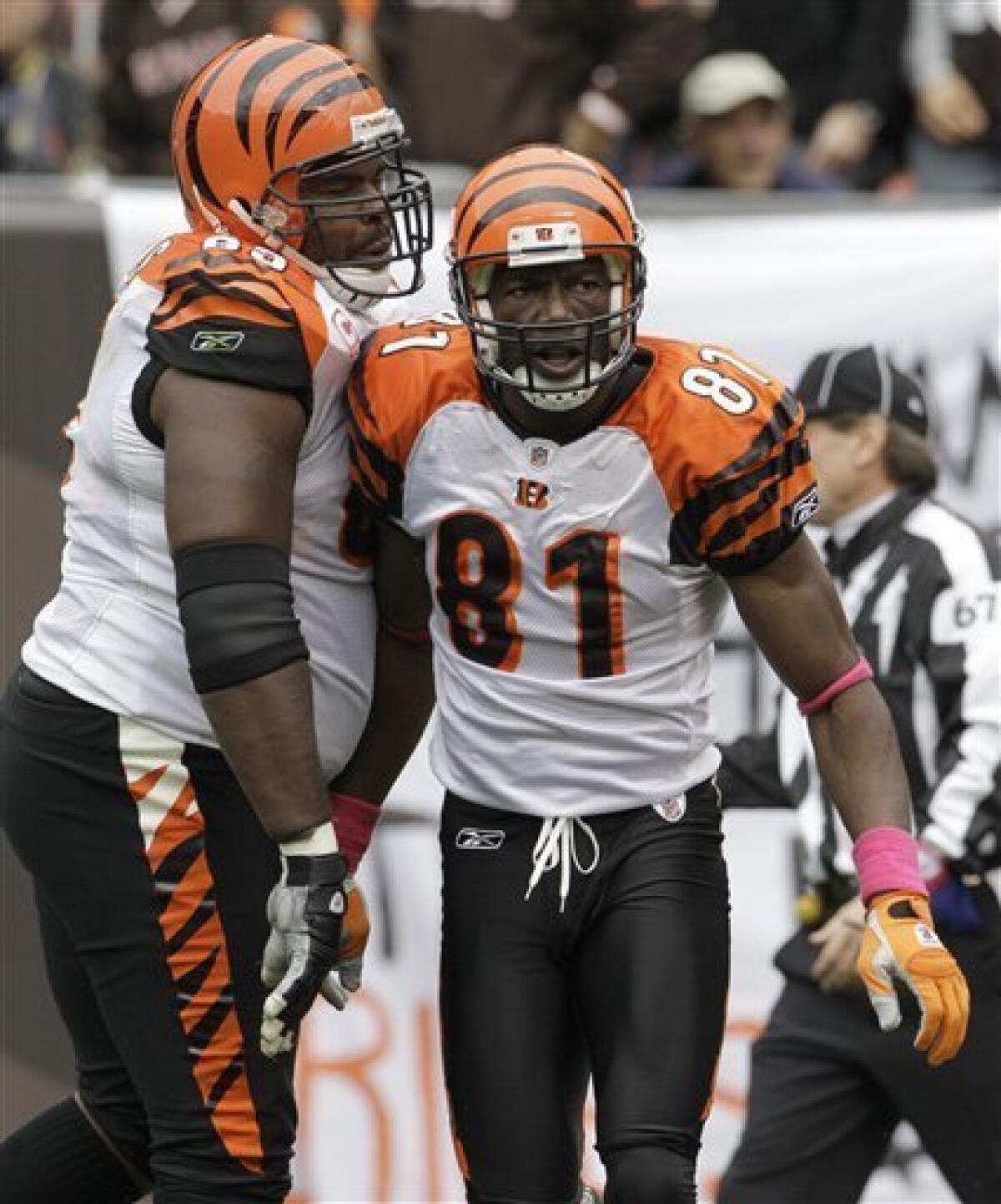 10 October 2010: Cincinnati Bengals wide receiver Terrell Owens (81)  celebrates a Cincinnati Bengals touchdown. The Tampa Bay Buccaneers  defeated the Cincinnati Bengals by a score of 24 to 21 at Paul