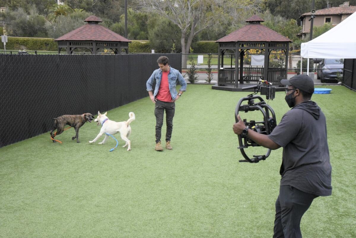 "Lucky Dog" TV host films episode in dog play yard at Helen Woodward Animal Center.