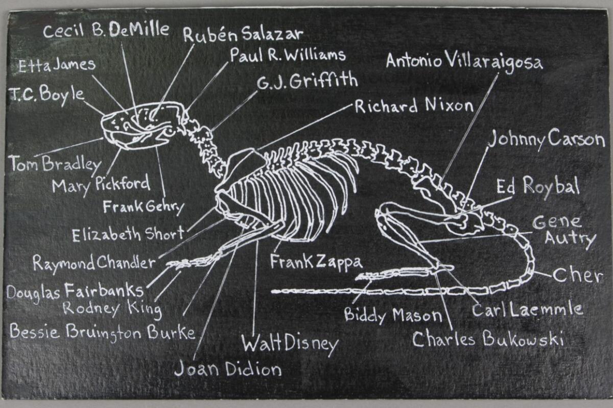 A silly chalk diagram of a prehistoric creature's skeleton has bones with labeled "Frank Zappa," "Johnny Carson" and more.