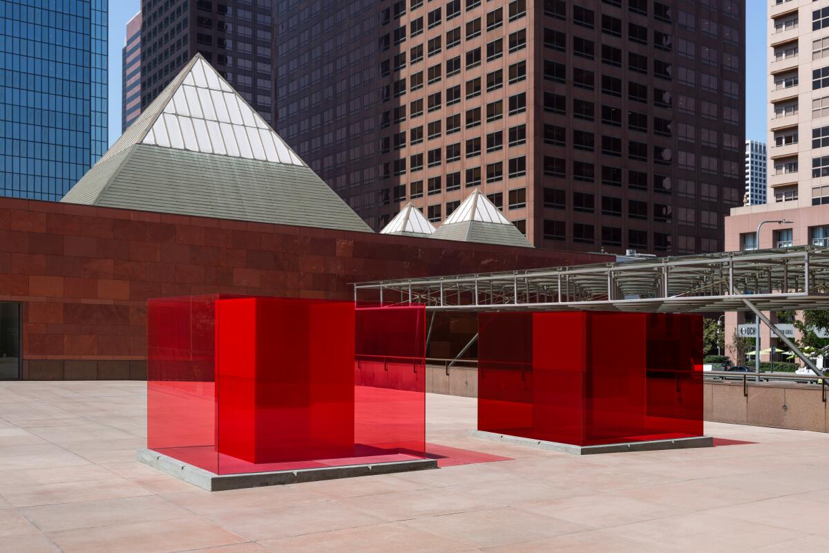 Two crimson sculptures inside a bigger rectangular glass box.