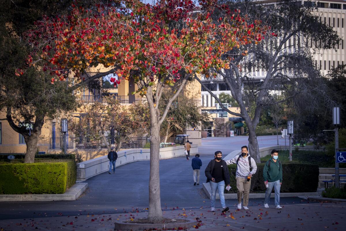 UC Irvine students, faculty and others walk down a campus path.