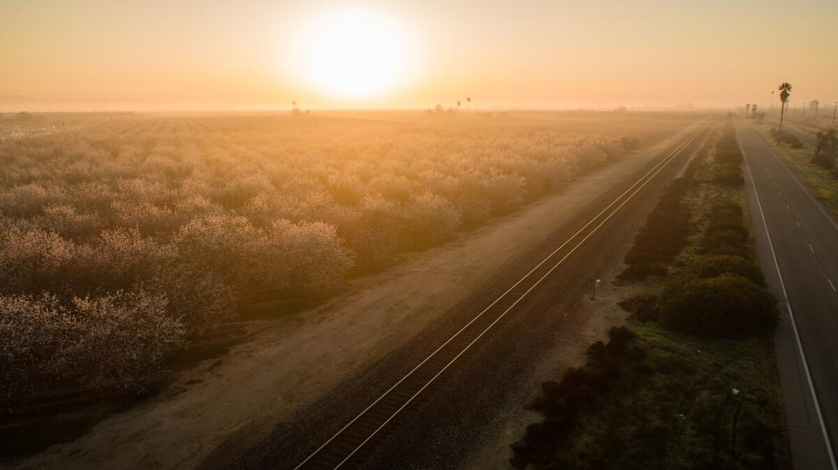 Railroad tracks run alongside a road; the sun softly glows in the distance.