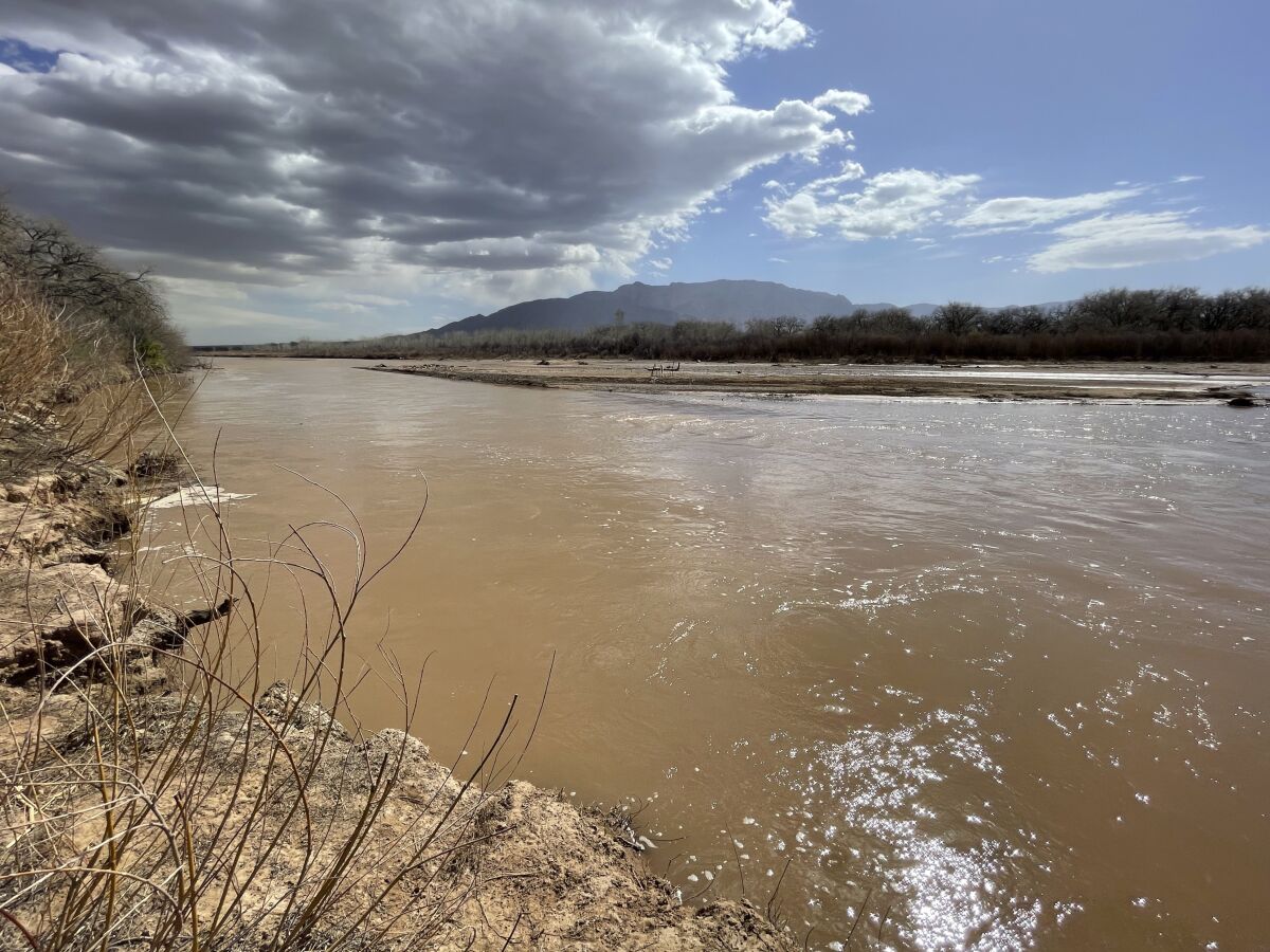 This April 10, 2022 image shows the Rio Grande flowing just north of Albuquerque, N.M. State and regional water managers are encouraging some farmers to forego irrigation allotments this season in exchange for compensation as they look leave more water in the river to meet interstate water-sharing compacts. (AP Photo/Susan Montoya Bryan)
