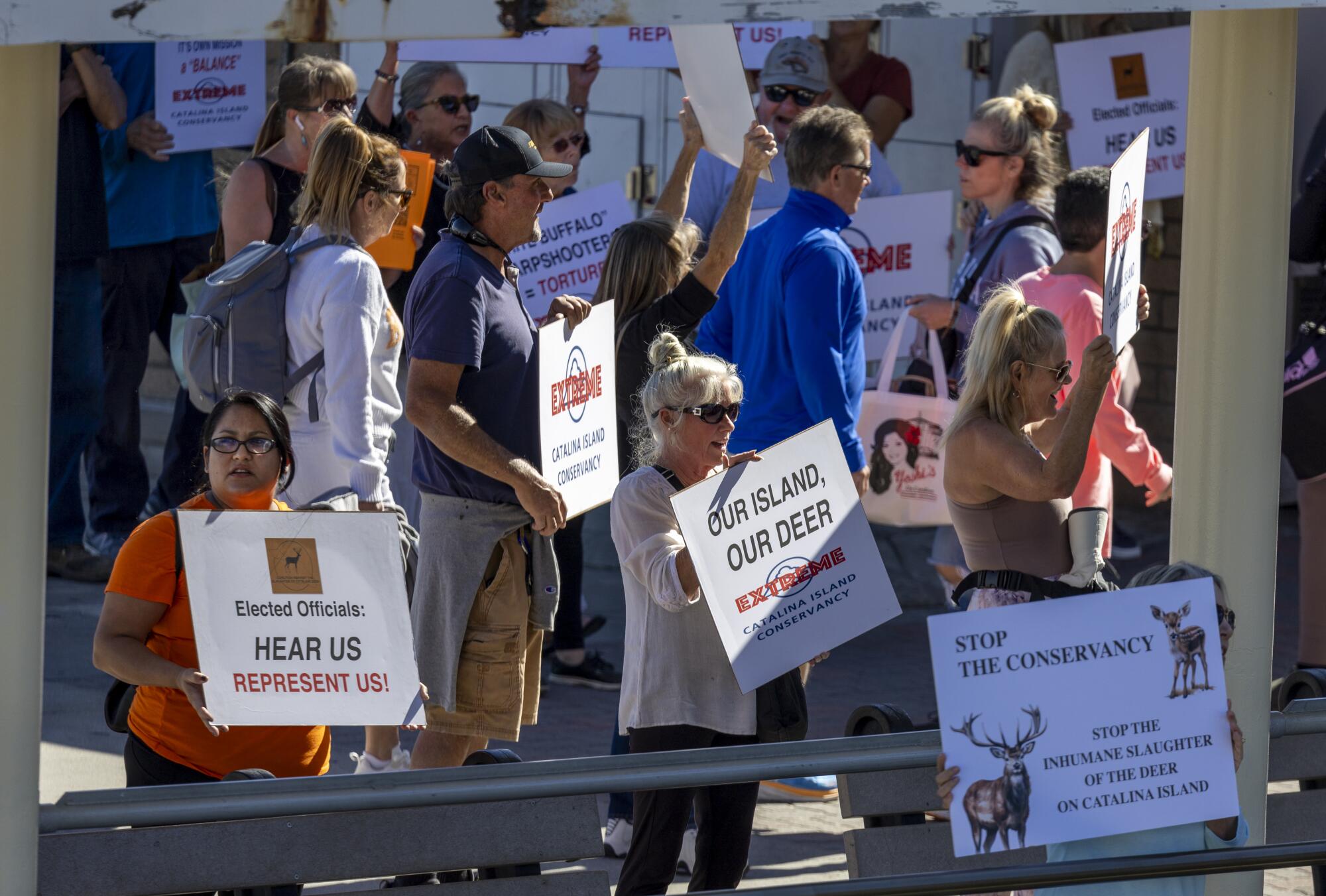 Protesters hold picket signs on Catalina Island. 