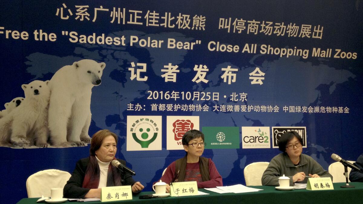 Representatives from Chinese animal rights groups hold a news conference to speak out against the treatment of Pizza, the "world's saddest polar bear," in Beijing on Oct. 25.