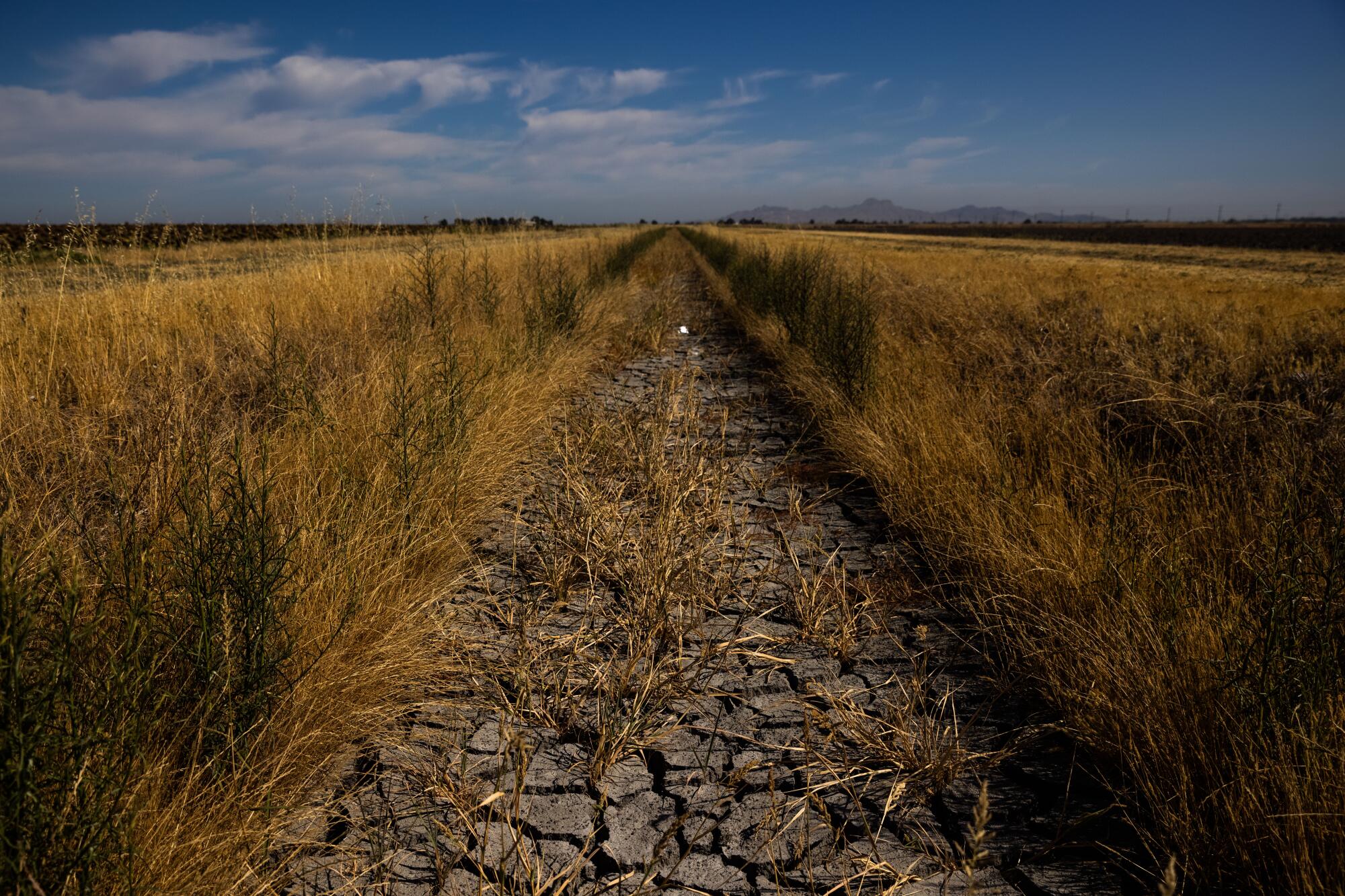 An irrigation ditch sits unused  in Knights Landing, Calif.