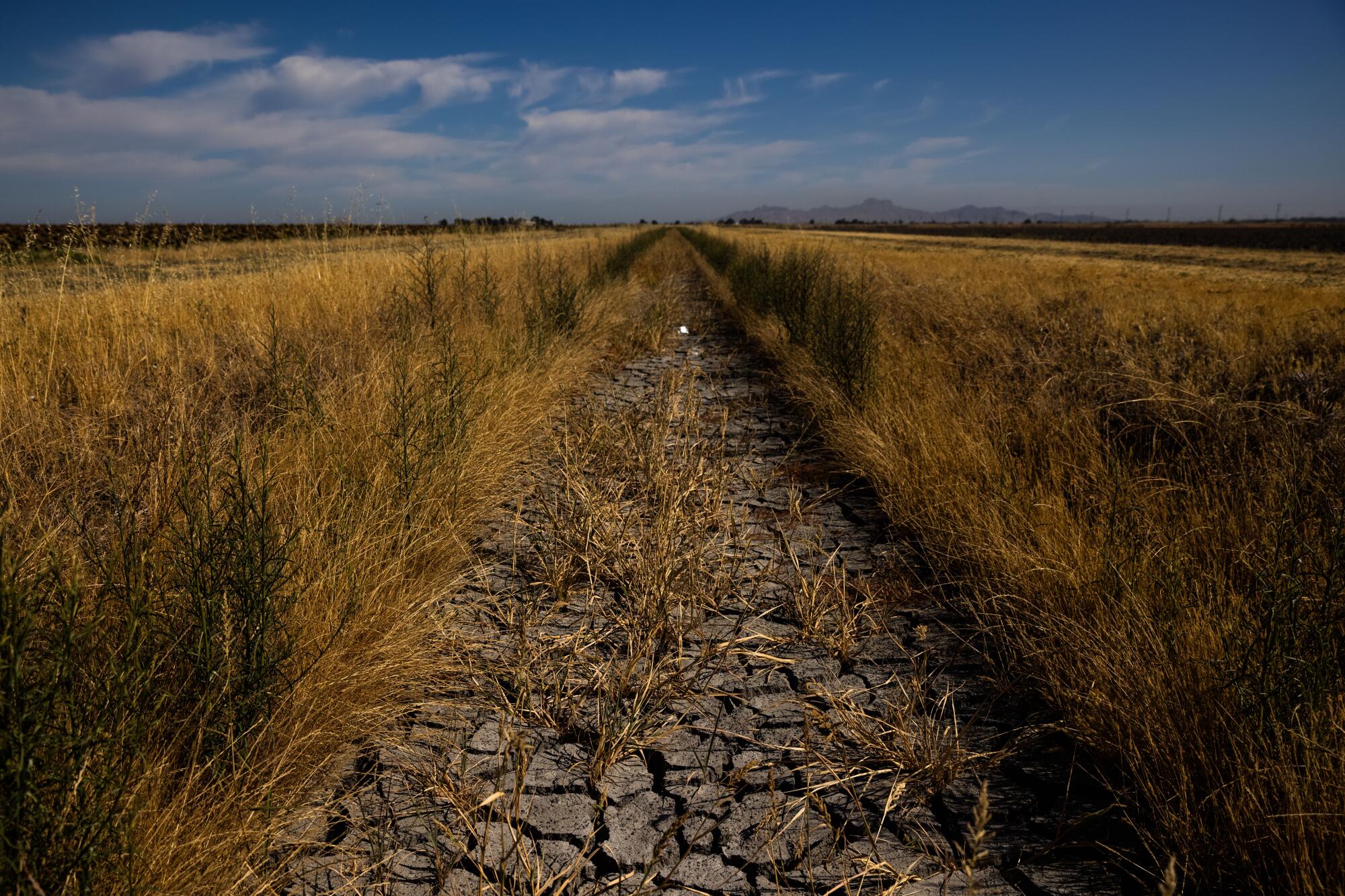 An irrigation ditch sits unused in Knights Landing, Calif.