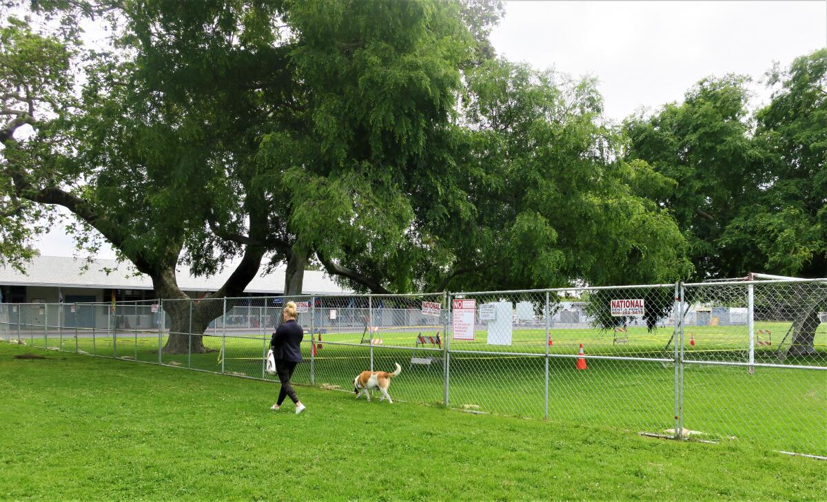 A woman walks her dog Thursday at Harper Park, where an field belonging to Newport-Mesa Unified was recently fenced off.