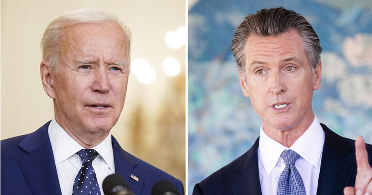 Warum es unwahrscheinlich ist, dass Biden im Jahr 2024 durch Newsom, einen anderen Demokraten, ersetzt wird?