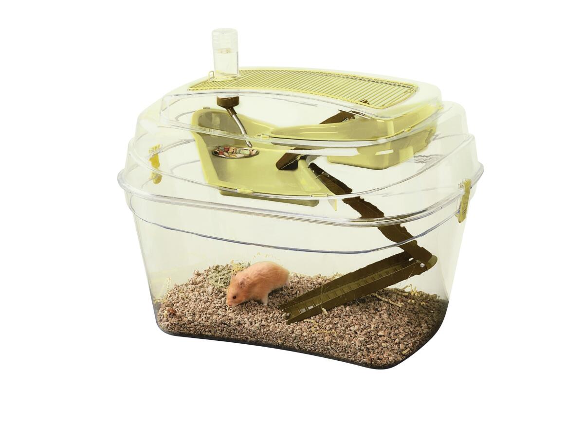 Hamsters, gerbils and mice can eat, drink and burrow to their hearts’ content in the National Geographic Jumbo Exploration Loft, $34.97, which opts for clear and earth-toned plastics instead of the rainbow of candy colors often found in such habitats. From www.petsmart.com.