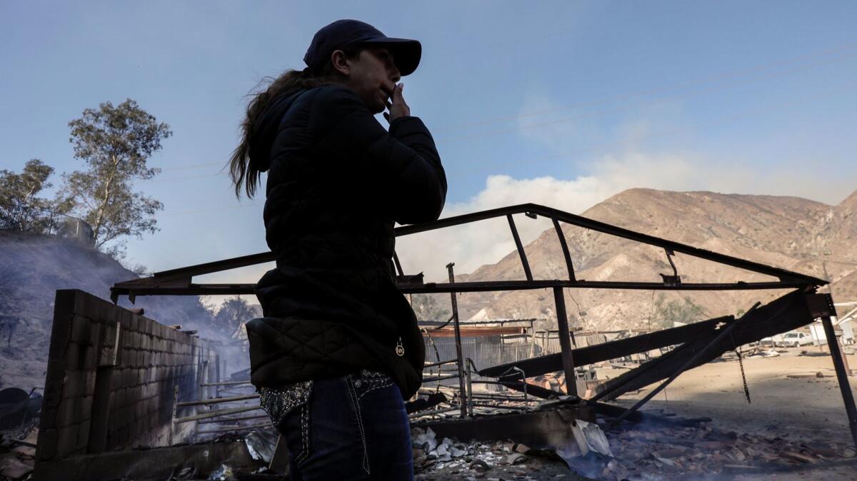 Virginia Padilla surveys her Padilla Ranch on Little Tujunga Road where 29 horses perished in Creek Fire.