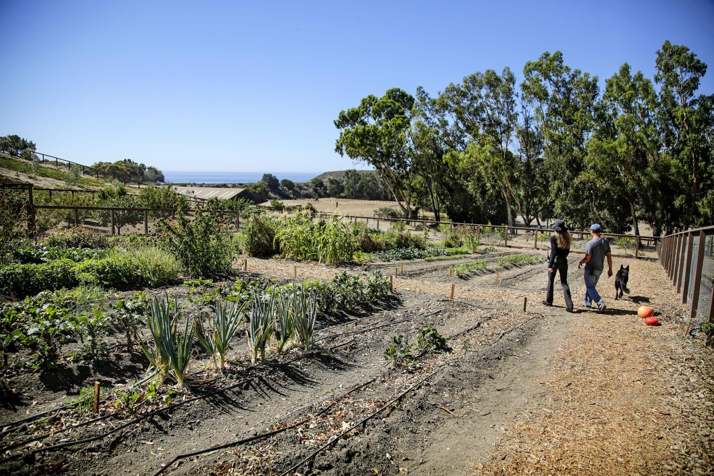 The Hollister Ranch garden of James and Suzy Amis Cameron