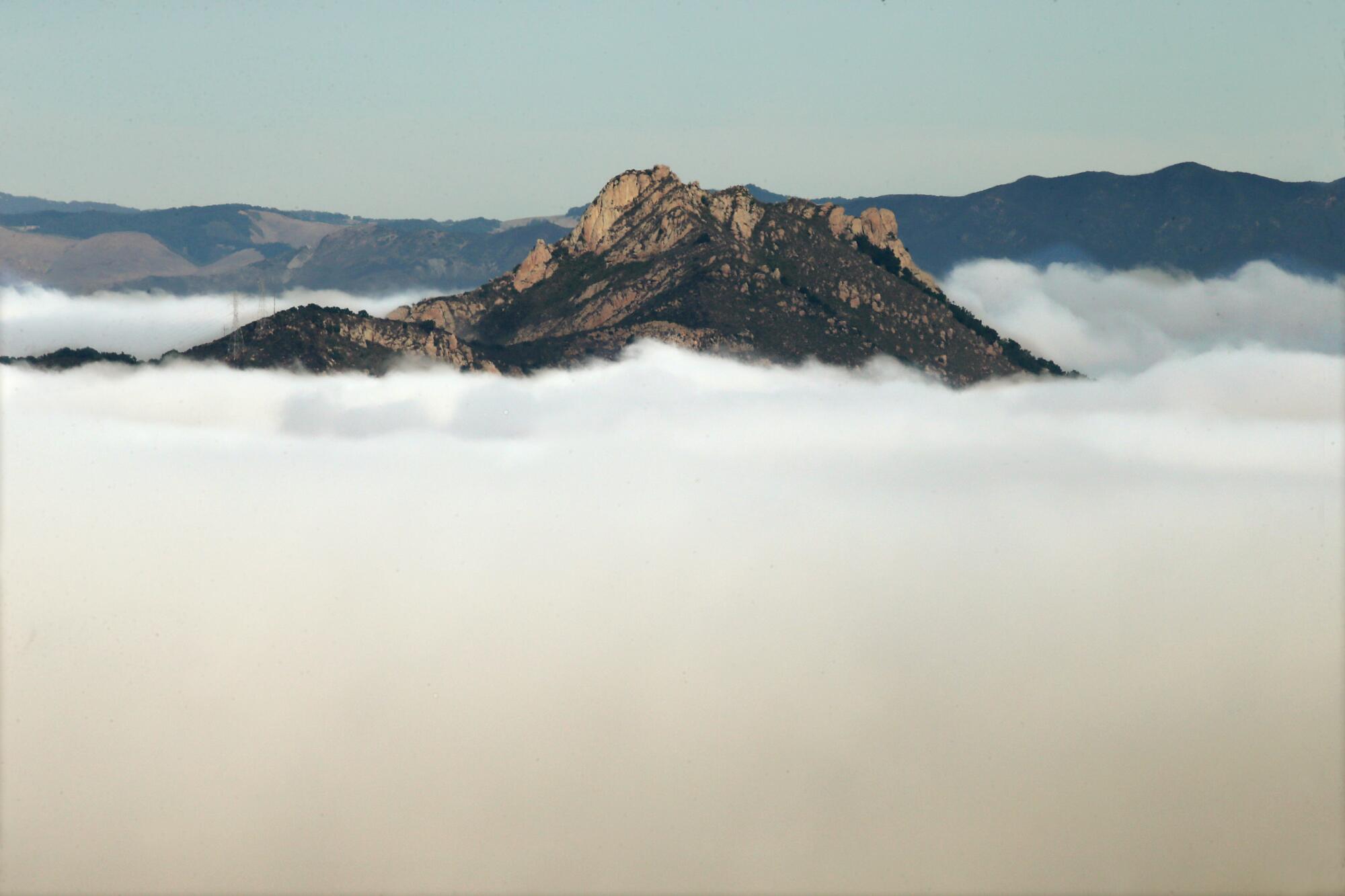 A mountain top rises above a layer of fog. 