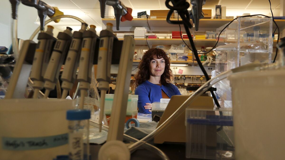 Professor Amy Rowat started the Science & Food course of study at UCLA.