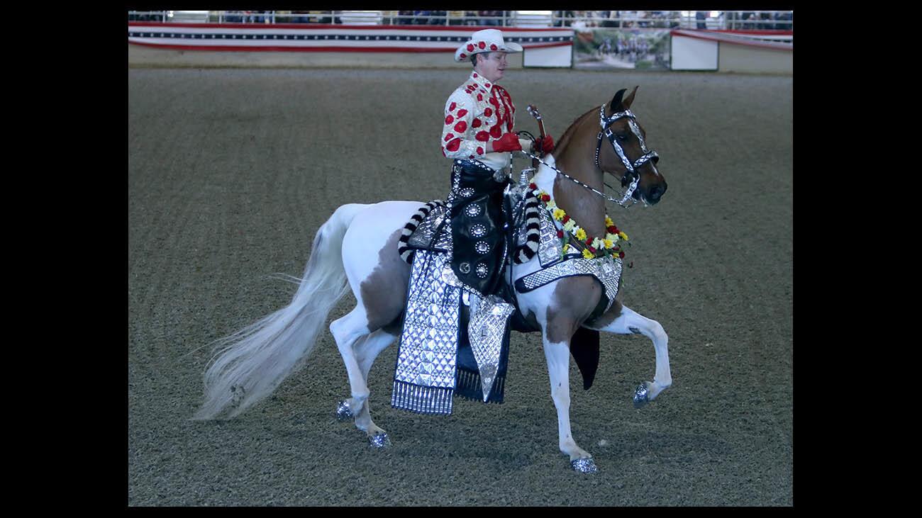 Photo Gallery: 29th annual Equestfest held at L.A. Equestrian Center in Burbank