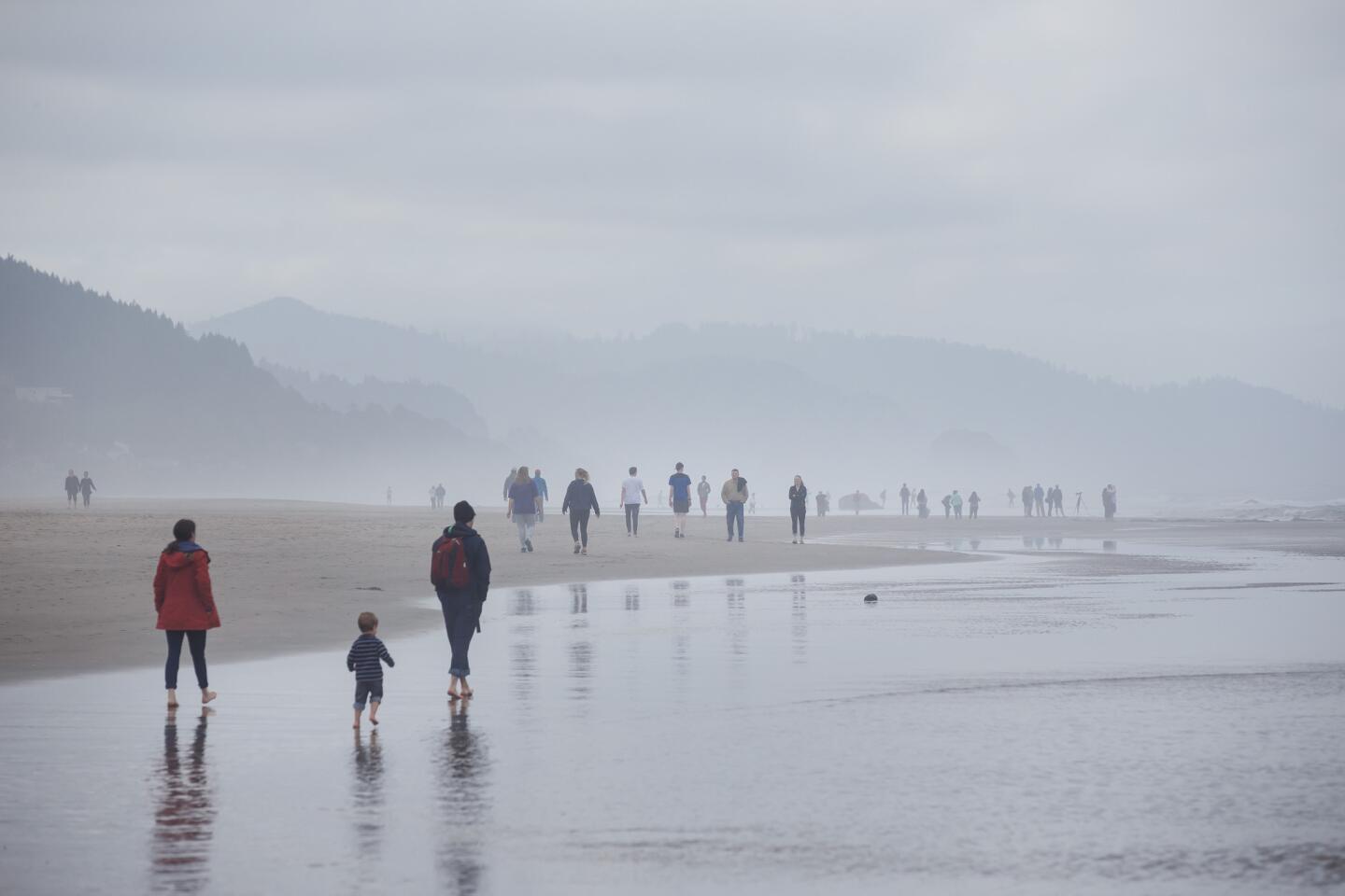 Clamming and crabbing in Oregon