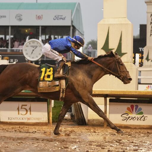 Which Horses Will Win Today: Expert Tips to Pick Winners