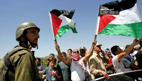 DIP: Friday - Palestinian protester