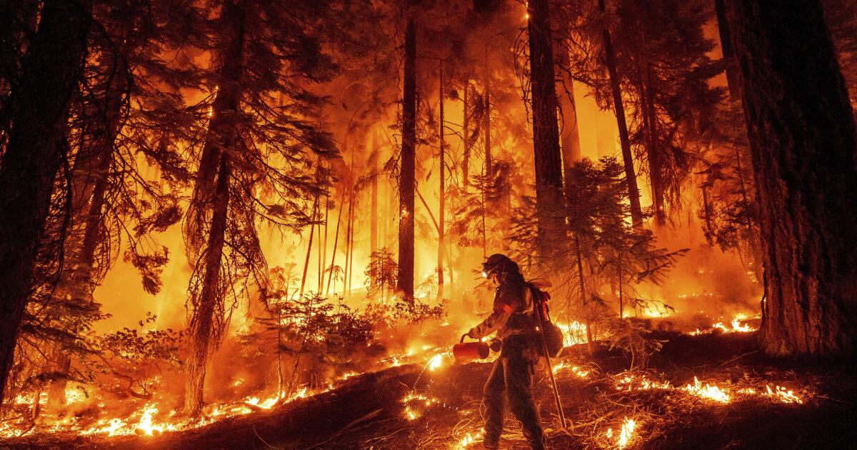La personne accusée de l’incendie du parc, l’un des plus grands incendies de forêt de Californie