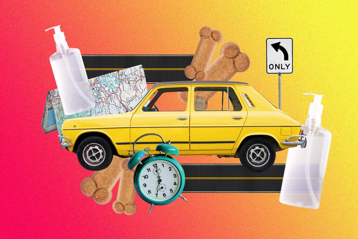 Illustration of a car with pandemic road trip necessities.