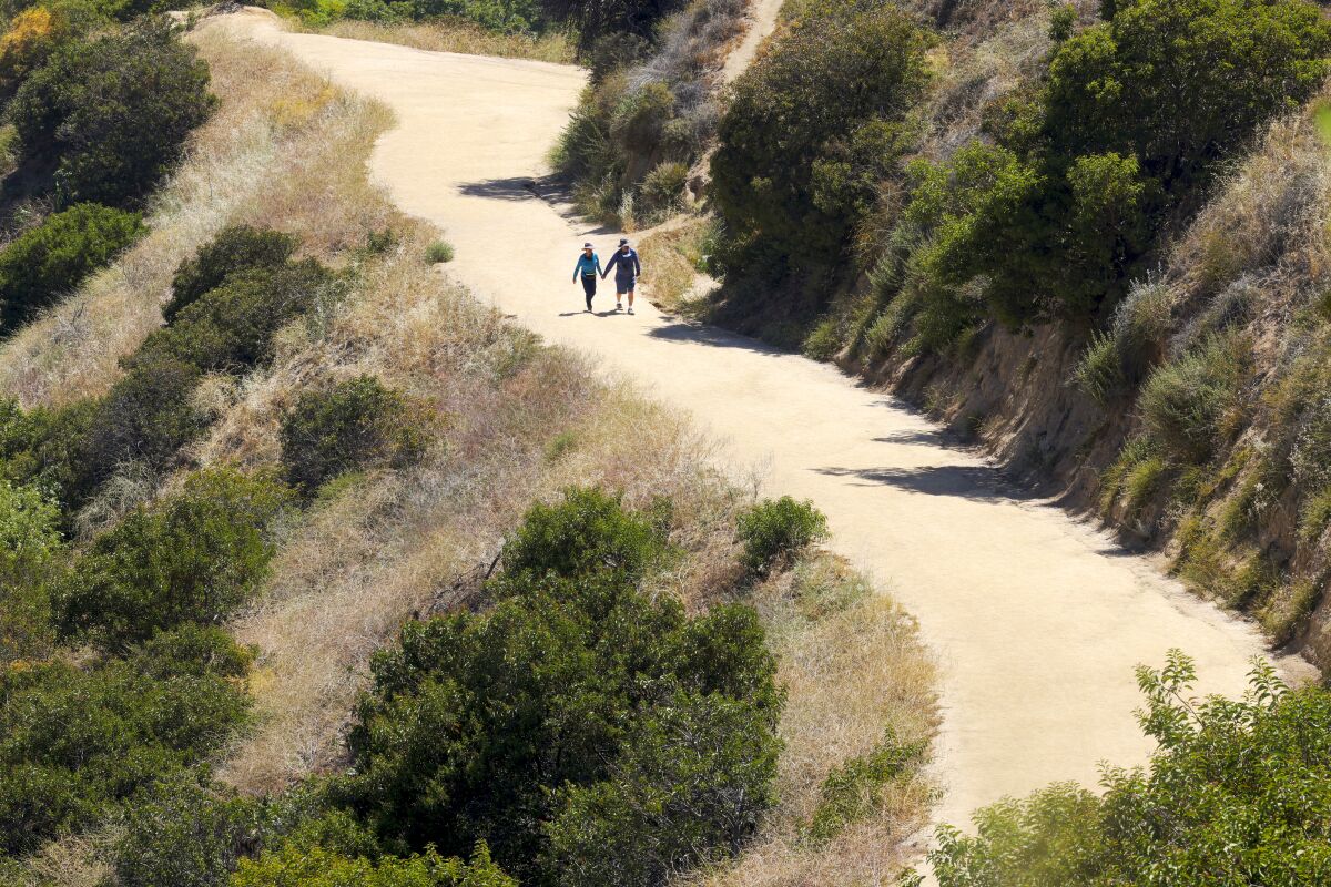 A hiking couple holding hands walks along a winding trail.
