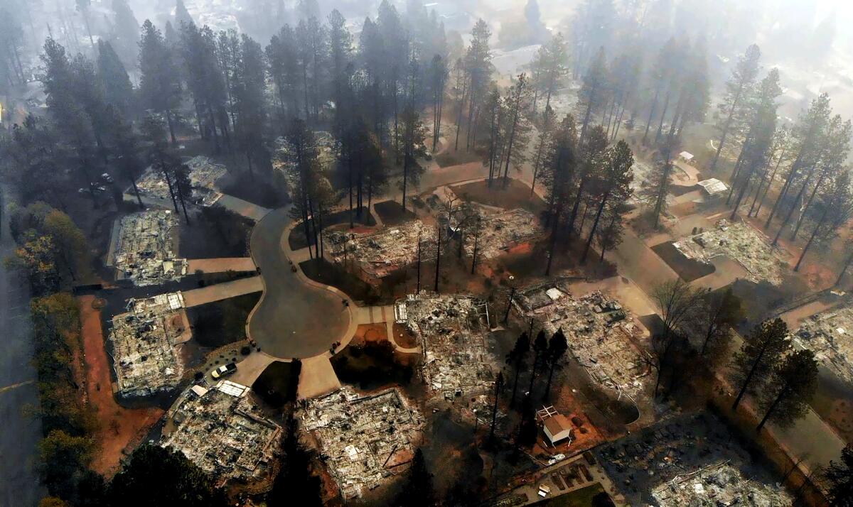 An aerial view of homes burned in the 2018 Camp Fire in the town of Paradise. 