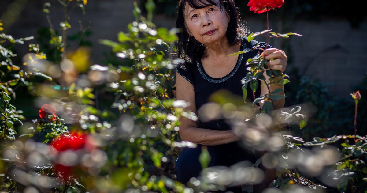 Column: ‘My life cannot be ruined by this scammer.’ Two victims lost everything and sued their banks Column: ‘My life cannot be ruined by this scammer.’ Two victims lost everything and sued their banks