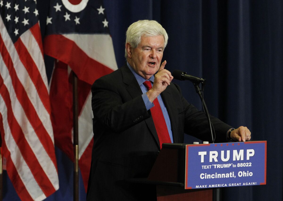 Former Speaker of the House Newt Gingrich introduces Republican Presidential candidate Donald Trump during a rally. (John Sommers II / Getty Images)