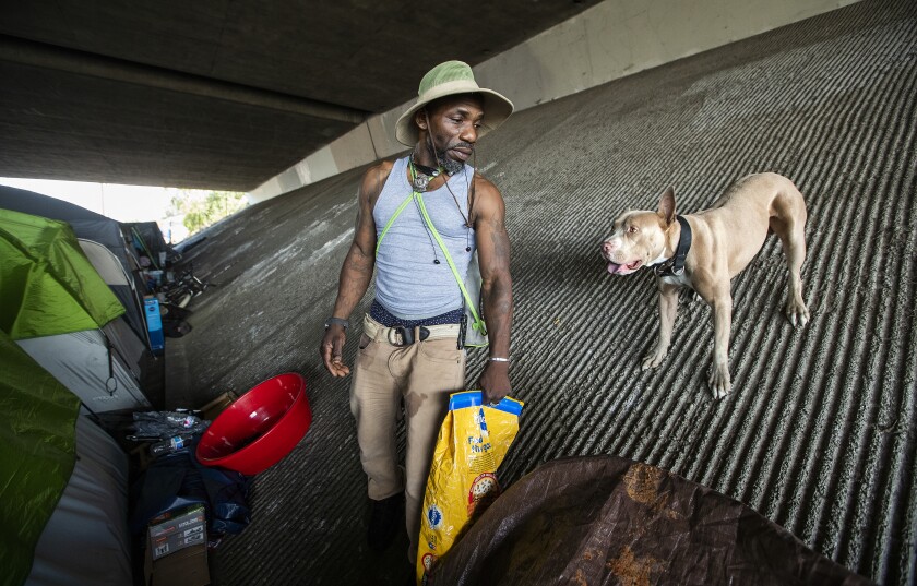 A man stands with a dog next to a tent and personal belongings