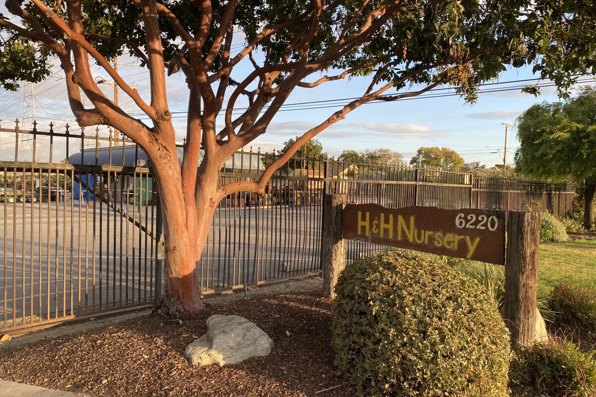 A sign that says "H&H Nursery" under a tree