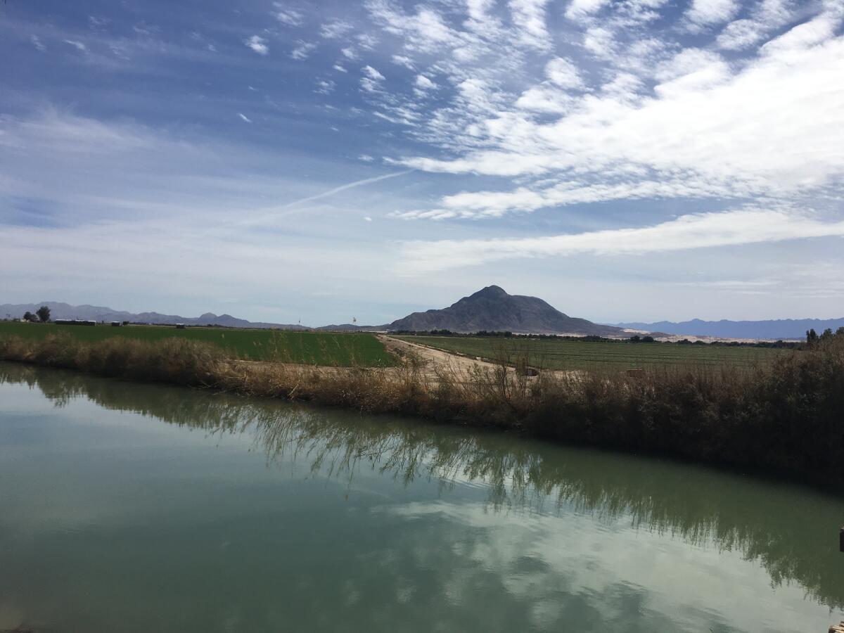 Westside Main Canal