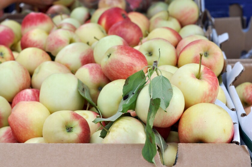 Heirloom apples