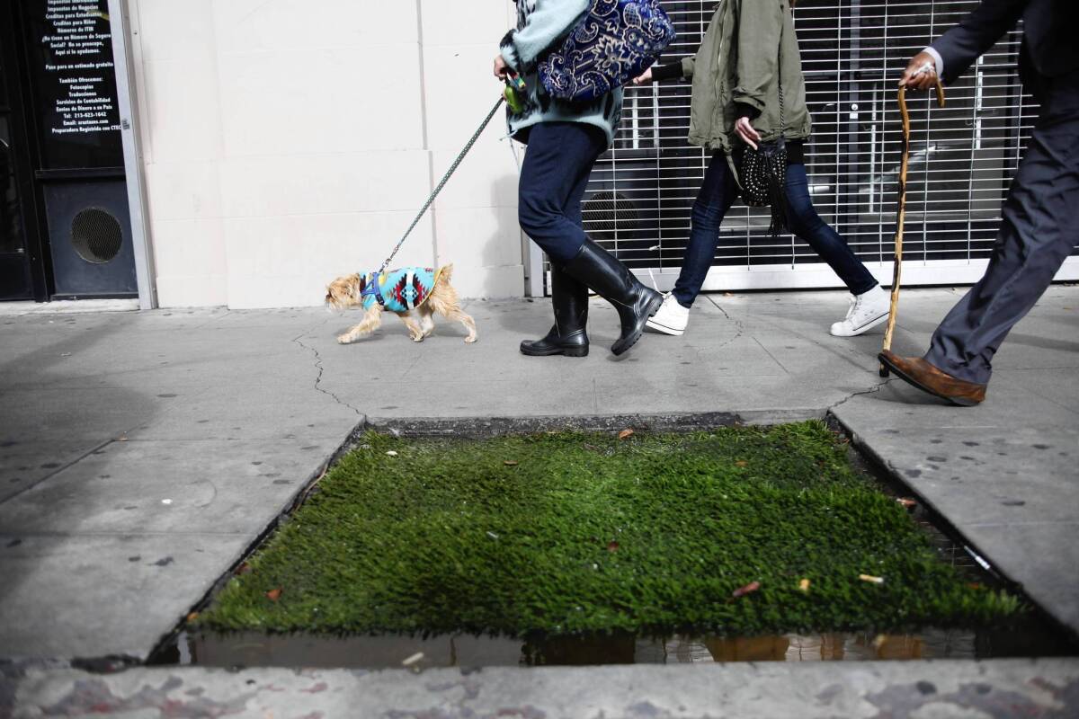 Several patches of artificial turf have been installed in downtown L.A. to give resident dogs a place to relieve themselves amid all the concrete and off-limits objects.