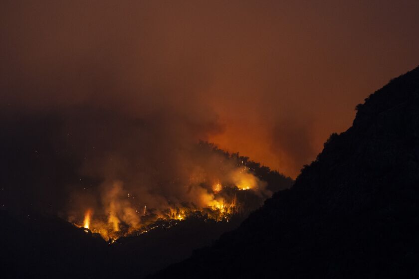 Flames burn through brush near the entrance station to Sequoia National Park near Three Rivers as the KNP Complex 