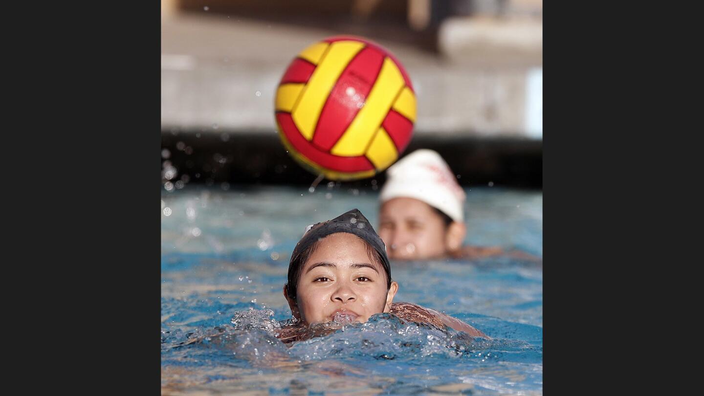 Photo Gallery: Burroughs girls' water polo preseason practice