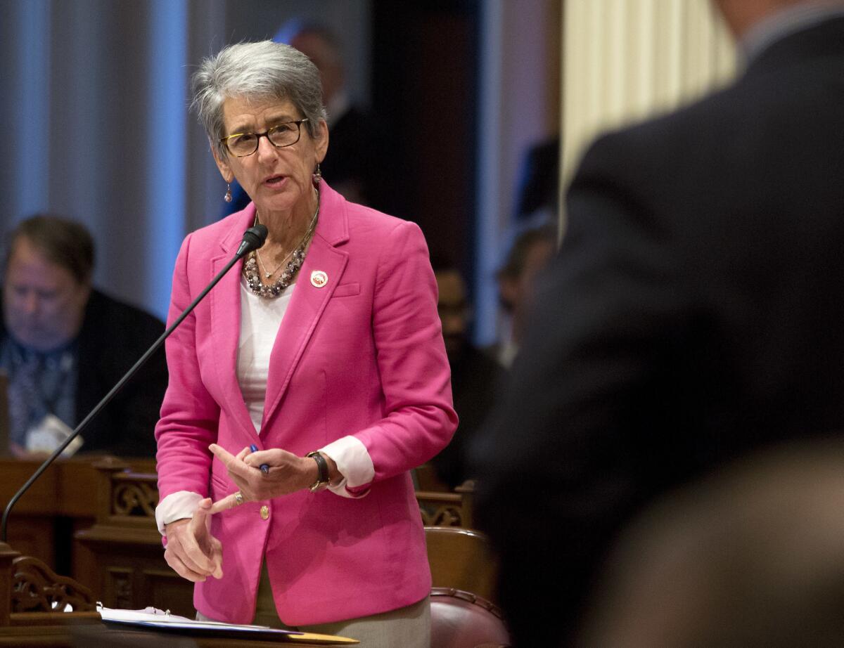 State Sen. Hannah-Beth Jackson (D-Santa Barbara) is chair of the California Legislative Women's Caucus.