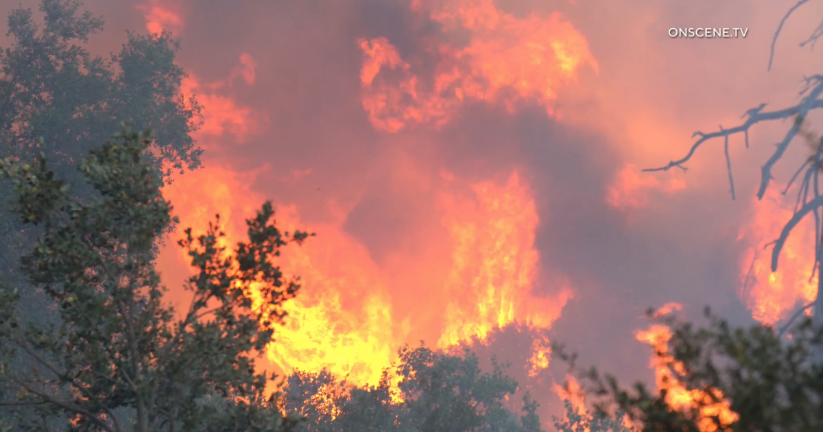 Waldbrand führt Kalifornien über düsteren Meilenstein hinweg: 1 Million ...