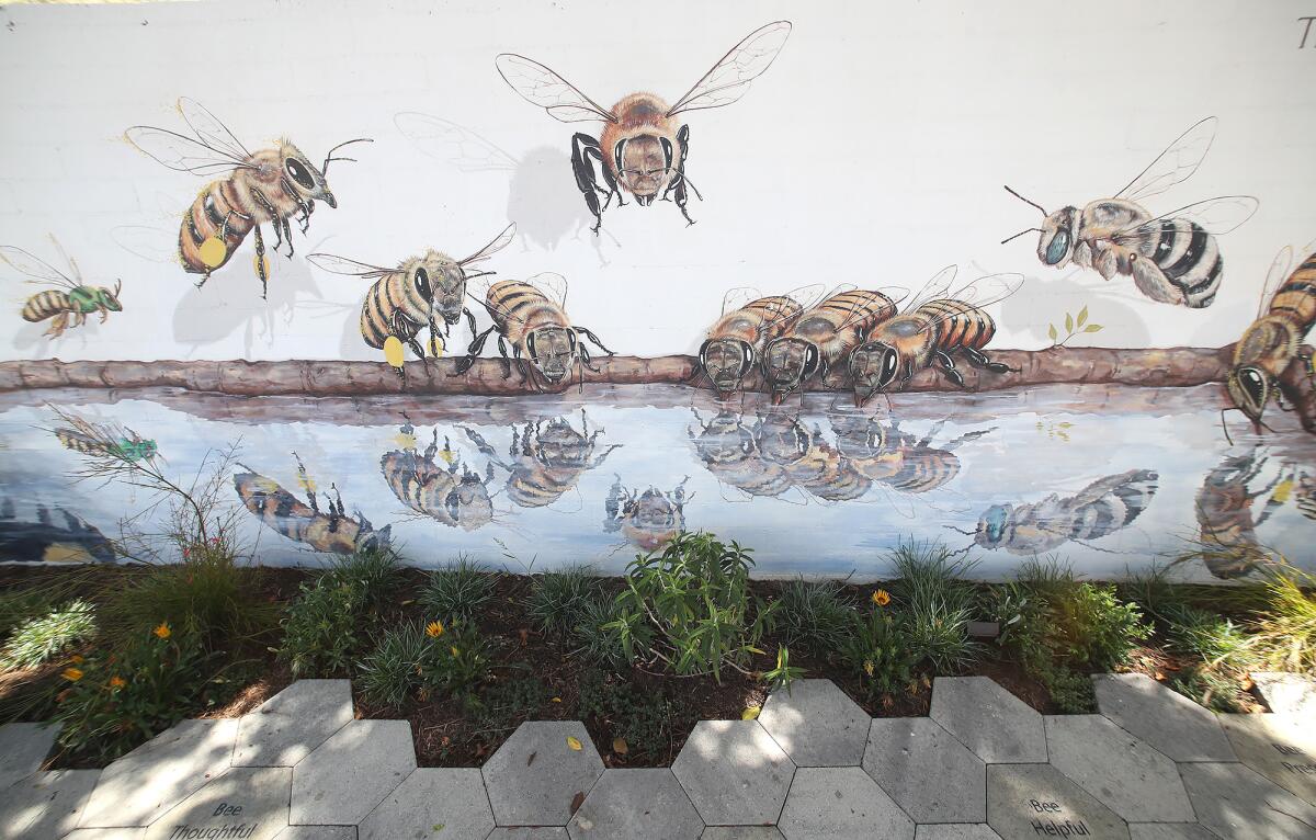 "The Good of the Hive" mural features bees with a water feature in front of the Laguna Beach County Water District.