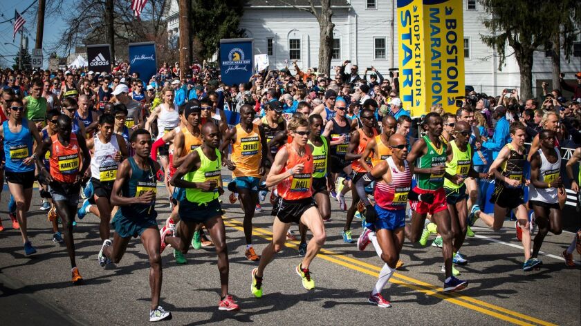 Scientists examined the gut bacteria of 15 Boston Marathon runners and found a particular species that appeared to boost their performance.