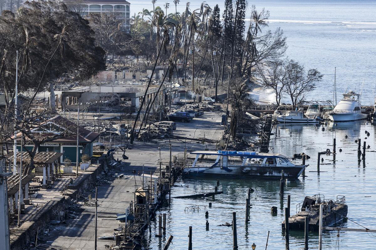 The Lahaina harbor following the Aug. 8 wildfire.
