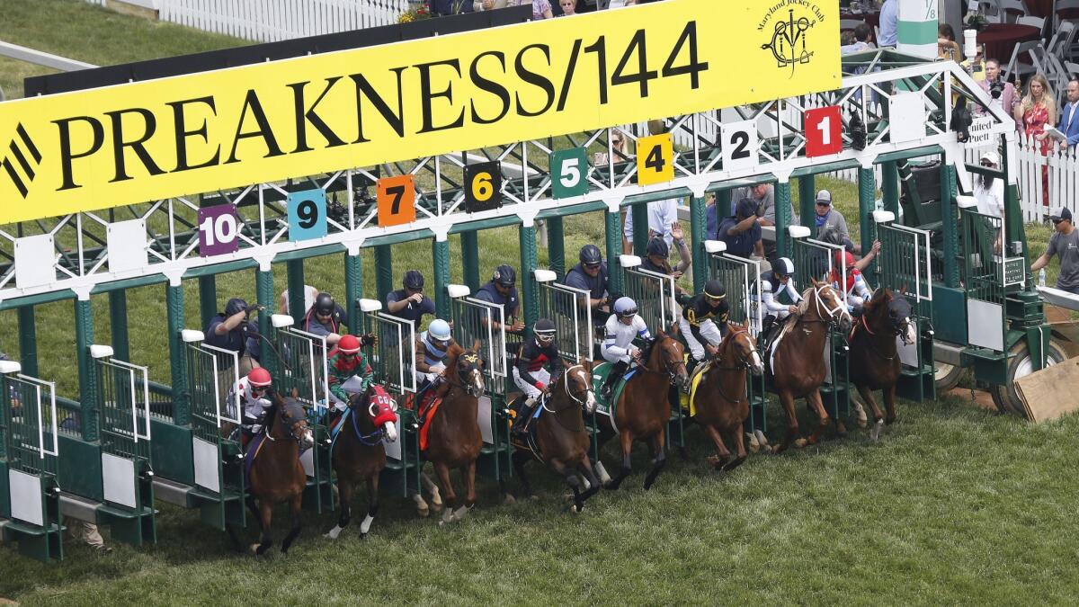 A turf race starts at Pimlico Race Course hours before the running of the 144th Preakness Stakes on Saturday.