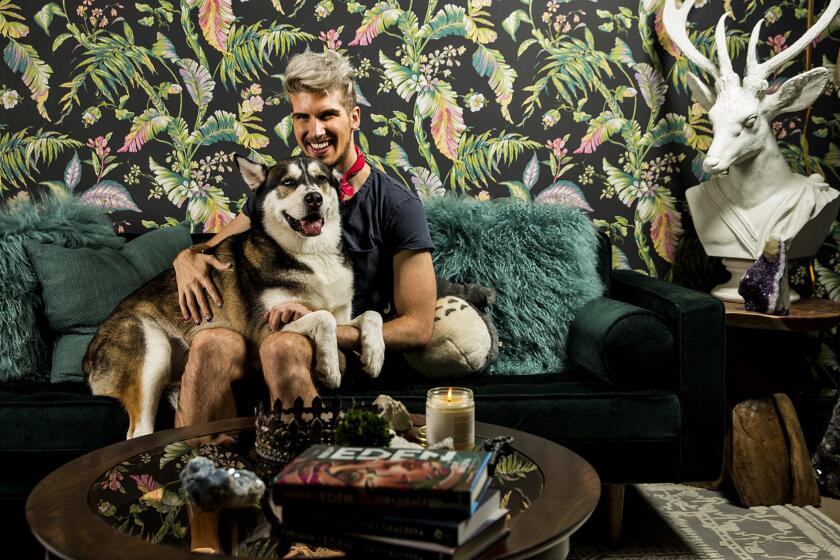 Surrounded by leafy wallpaper and woodsy touches, Joey Graceffa and his husky Wolf relax in what was once his home office.