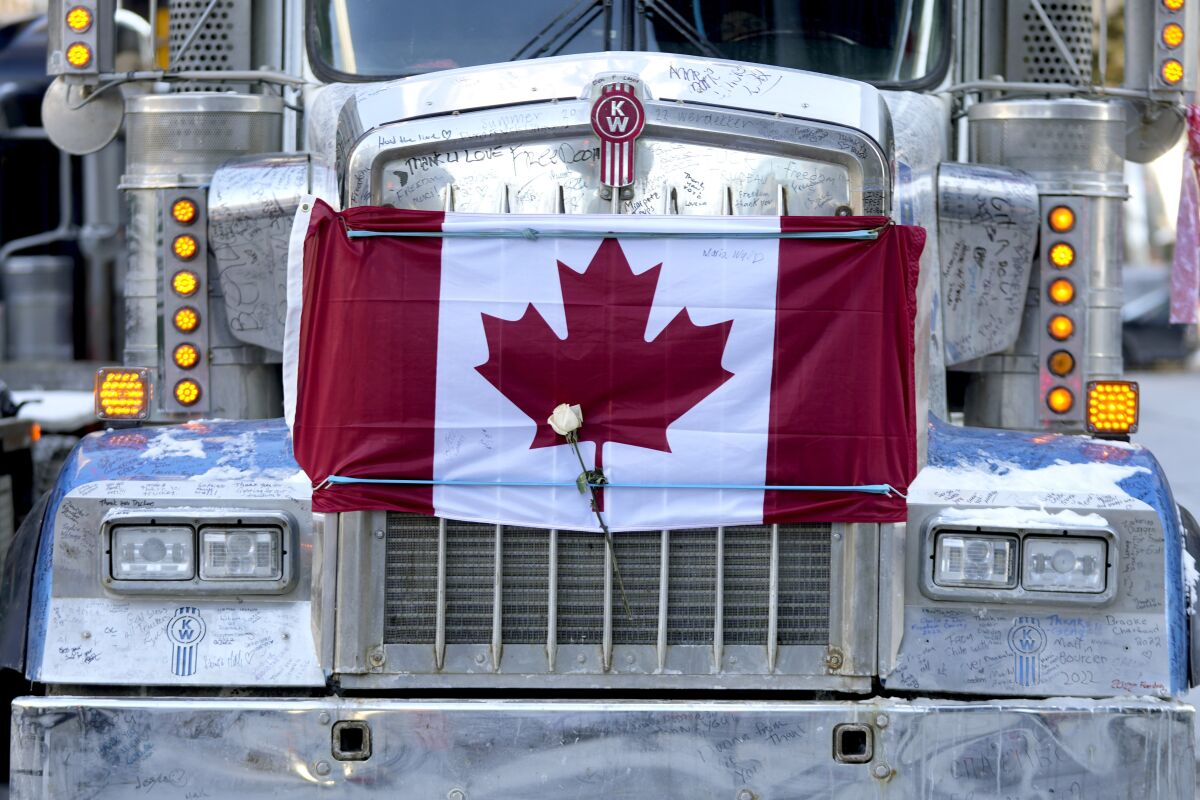A white rose is secured under a bungee cord strapping a Canadian flag to the hood of a semi-trailer truck, on the 18th day of a protest against COVID-19 measures that has grown into a broader anti-government protest, in Ottawa, on Valentine's Day, Monday, Feb. 14, 2022. (Justin Tang/The Canadian Press via AP)