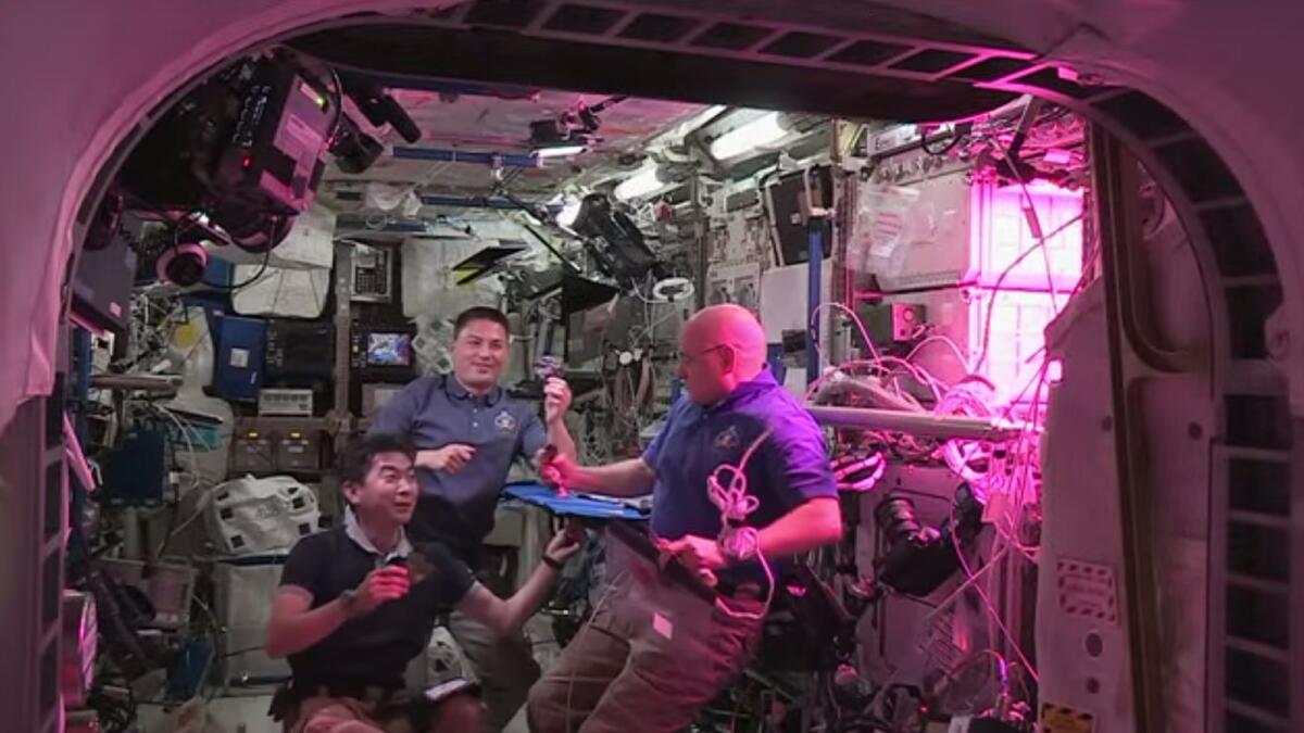 From left, astronauts Kimiya Yui, Kjell Lindgren and Scott Kelly sample lettuce on International Space Station.