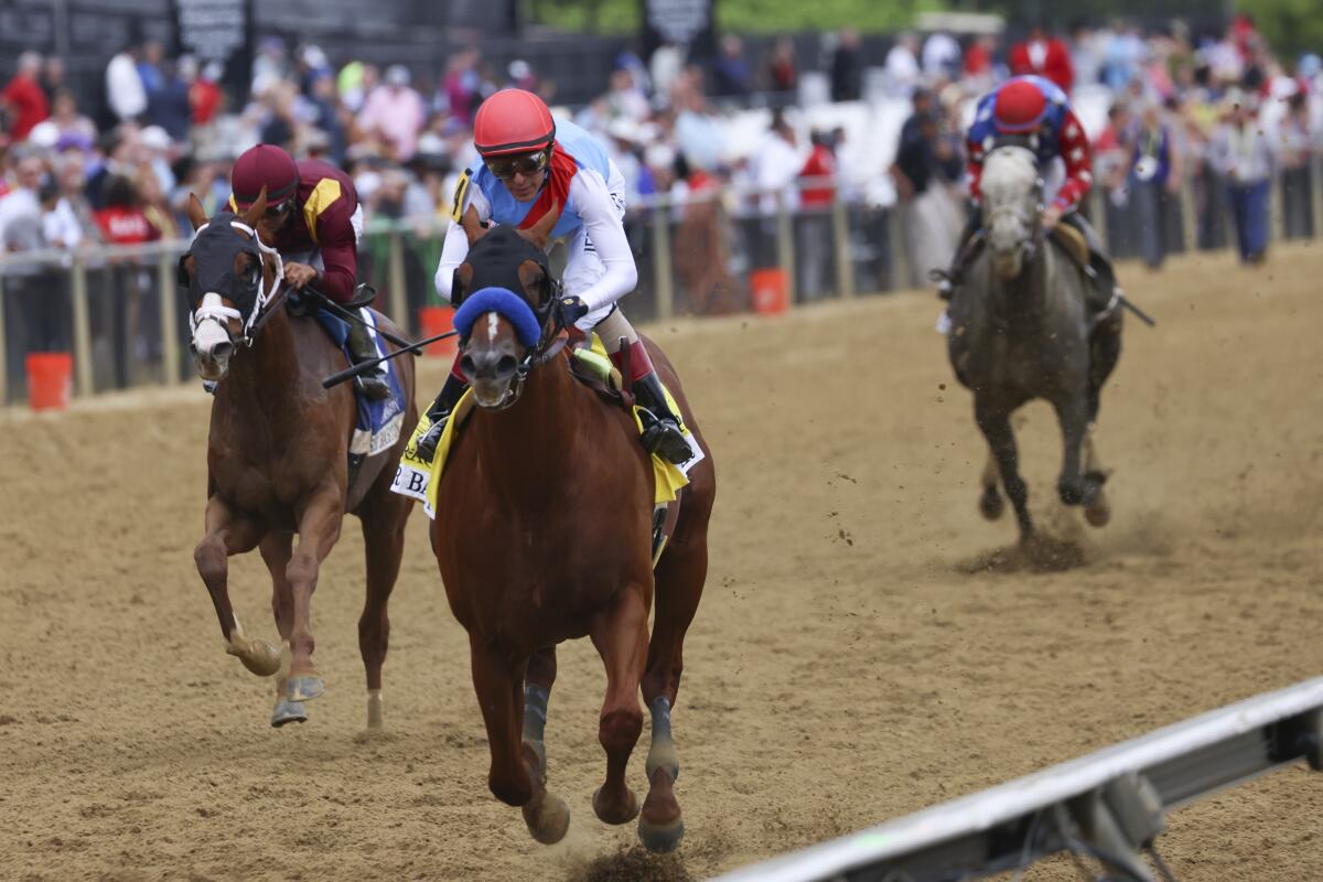 Arabian Lion, with jockey John Velazquez, wins The Sir Barton Stakes at Pimlico Race Course on May 20.