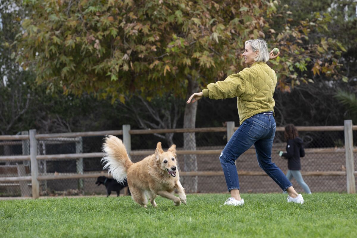 Barbara-Lee Edwards plays catch with her golden retriever, Charlotte.