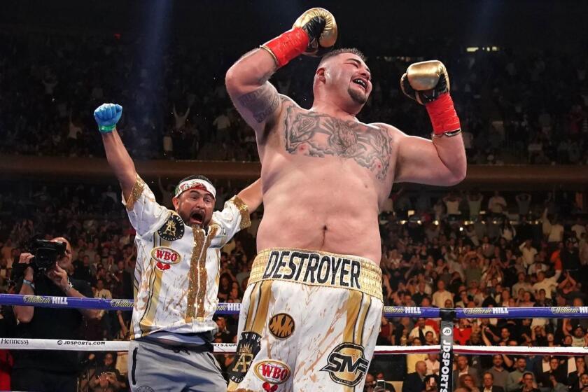USA's Andy Ruiz (R) celebrates after knocking down England's Anthony Joshua (off frame) in the 7th round to win by TKO during their 12-round IBF, WBA, WBO & IBO World Heavyweight Championship fight at Madison Square Garden in New York on June 1, 2019. (Photo by TIMOTHY A. CLARY / AFP)TIMOTHY A. CLARY/AFP/Getty Images ** OUTS - ELSENT, FPG, CM - OUTS * NM, PH, VA if sourced by CT, LA or MoD **