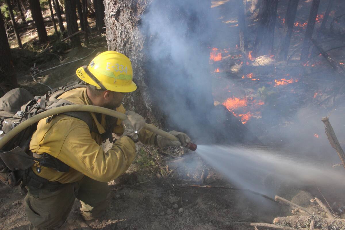 A U.S. Forest Service crew member hoses down flames on the northwest flank of the August Complex fire.