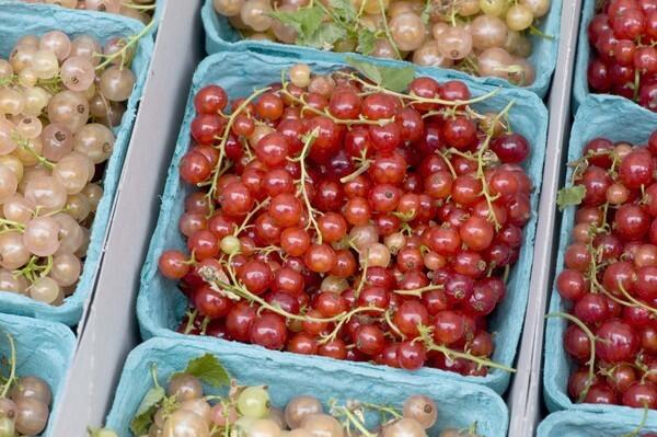 At the farmers market