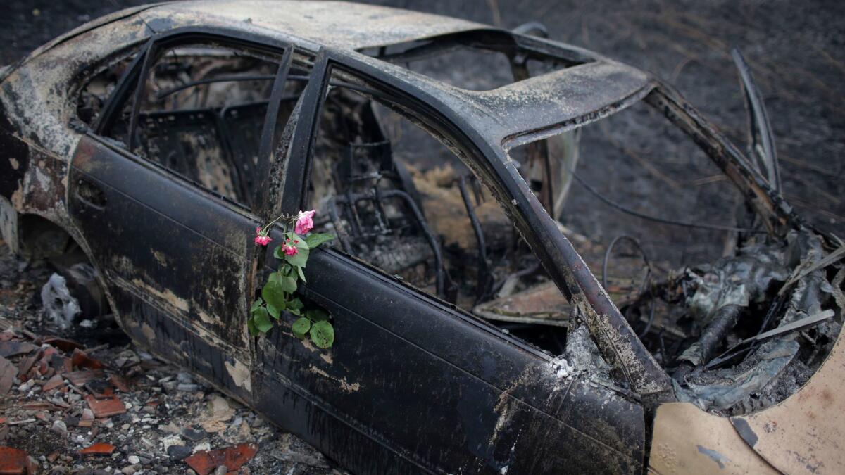 Roses were placed on the burned-out remains of a car in which a woman died after it ran off the N-326-1 highway near Pedrogao Grande in central Portugal on June 19, 2017.